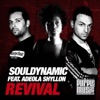 Revival (Remixes), 2011