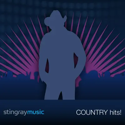 The Baby (In The Style Of Blake Shelton) [Performance Track with Demonstration Vocals] - Single - Done Again
