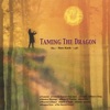 Taming the Dragon