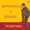 Romantico y Sensual, 2007