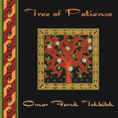 Omar Faruk Tekbilek - Elation