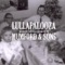 Little Lion Man - Lullapalooza lyrics