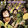 Tropiques du cancer