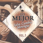 Lo Mejor Salsa Cumbia Merengue, Vol. 1 artwork