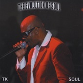 Tk Soul - They Wanna Party