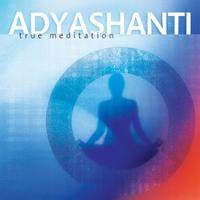 Adyashanti - True Meditation artwork