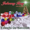 Estrella de Navidad