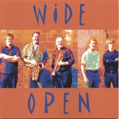 Wide Open - Jeannie's Song
