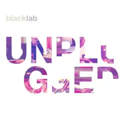 Unplugged - Black Lab