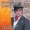 Figuras del Cante Flamenco