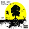 The Late Bloomer