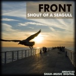 Shout of a Seagull (Tucandeo Remix)