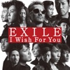 EXILE - I Wish For You -Instrumental-