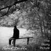 The Blurry Picture - Single