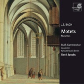 Bach: Motets artwork