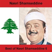Best Of Nasri Shamseddine 6 artwork