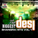 The Biggest Desi Bhangra Hits, Vol. 1 - Various Artists