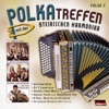 Polkatreffen Mit Der Steirischen Harmonika - Folge 2