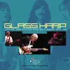 Glass Harp (Live At the Beachland Ballroom 11.01.08) album lyrics, reviews, download