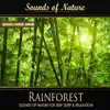 Rainforest (Nature Sounds) - Single album lyrics, reviews, download