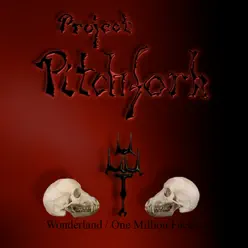 Wonderland / One Million Faces - Project Pitchfork