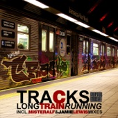 Long Train Running (Misteralf Instrumental Mix) artwork