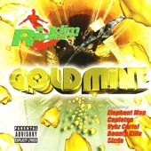 Riddim Rider, Vol. 10: Goldmine artwork