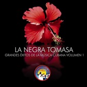 La Negra Tomasa artwork