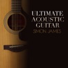 Ultimate Accoustic Guitar, 2010