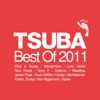 Tsuba Best of 2011