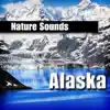 Stream & download Alaska