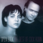 Open Book - The Best of Cock Robin artwork