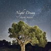 Night Dream - EP