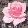 Stream & download Blossoms