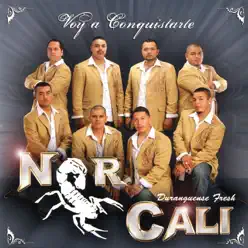 Voy a Conquistarte - Nor Cali