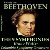 Symphony No. 7 in A Major, Op. 92 : IV. Allegro con brio artwork