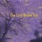 Aldebaran - The Cary Brown Trio lyrics