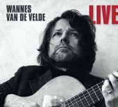 Wannes Van De Velde (Live) artwork
