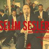 Anatolian Wedding - Selim Sesler