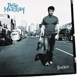 Feeler - Pete Murray