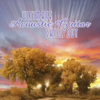 Ultimate Acoustic Chillout by Peter Wiltschinsky album reviews, ratings, credits