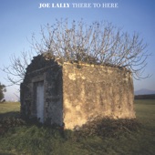 Joe Lally - The Resigned