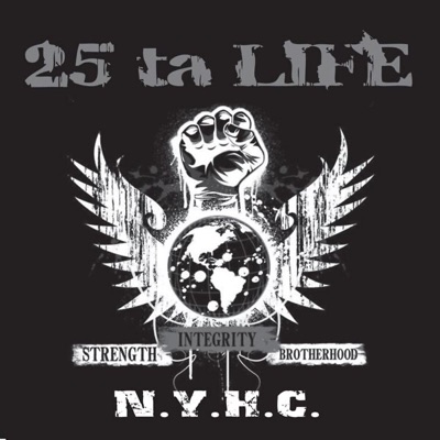 Strength Integrity Brotherhood - 25 ta Life