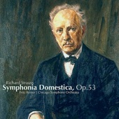 Strauss: Symphonia domestica, Op. 53 artwork