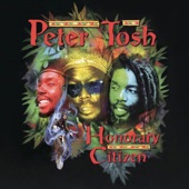 Peter Tosh - Fools Die (Album Version)