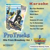 Karaoke - Hits from Broadway, Vol. 1