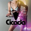 Cicada - Tricks