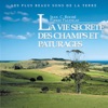 La vie secrète des champs et pâturages, 1999