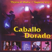 Caballo Dorado - Payaso de Rodeo