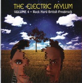 The Electric Asylum - Volume 4